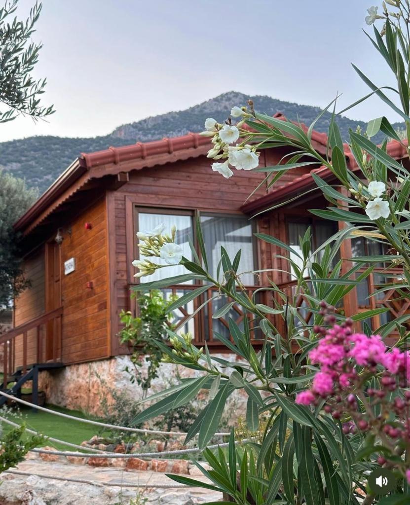 Doganin Ruhu Hotel & Bungalow カシュ エクステリア 写真
