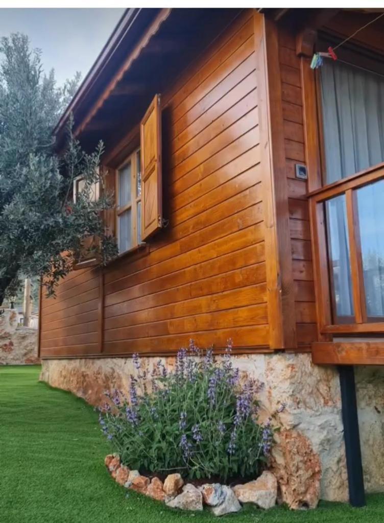 Doganin Ruhu Hotel & Bungalow カシュ エクステリア 写真