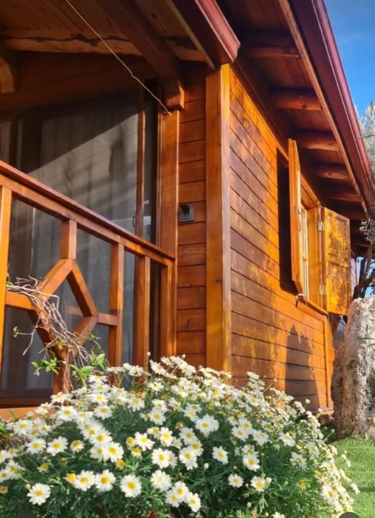 Doganin Ruhu Hotel & Bungalow カシュ エクステリア 写真
