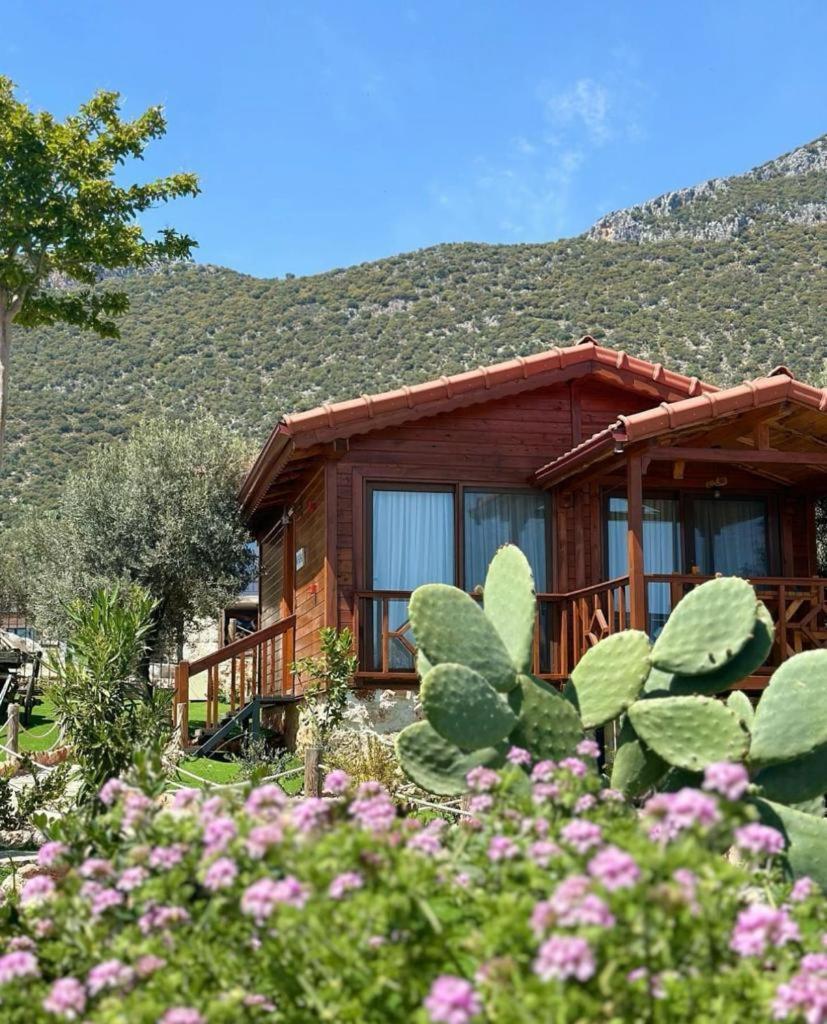 Doganin Ruhu Hotel & Bungalow カシュ エクステリア 写真